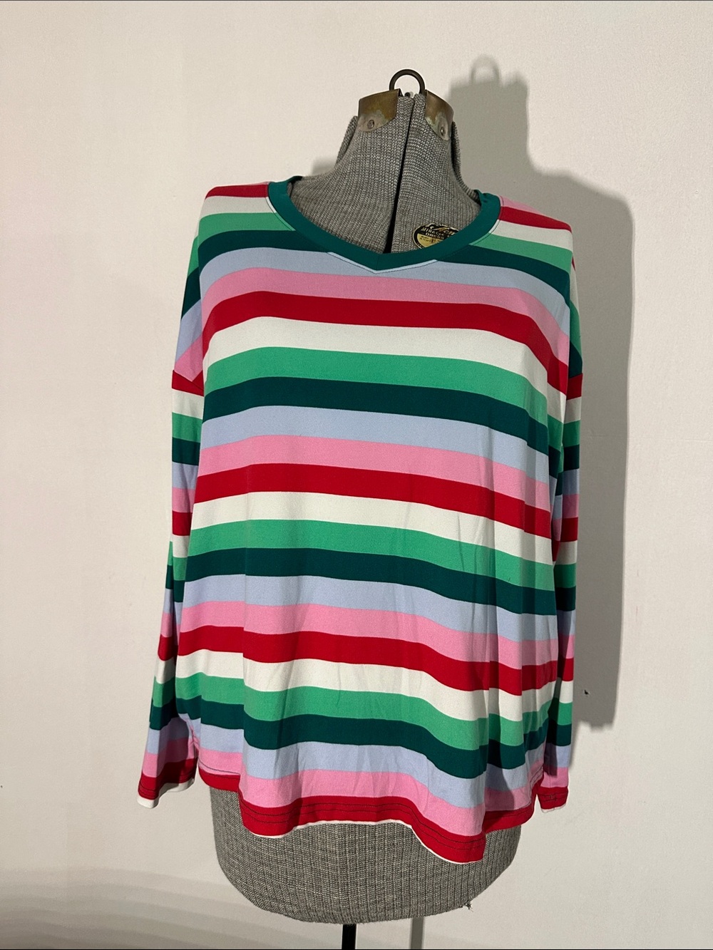 Joyspun Women’s Large Colorful Striped Long Sleeve V-Neck Top L 12-14